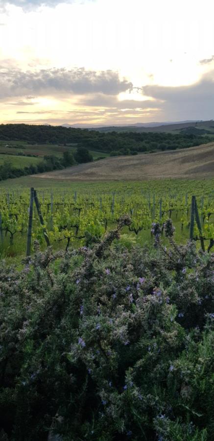 San Quirico dʼOrcia Agriturismo Bagnaia מראה חיצוני תמונה