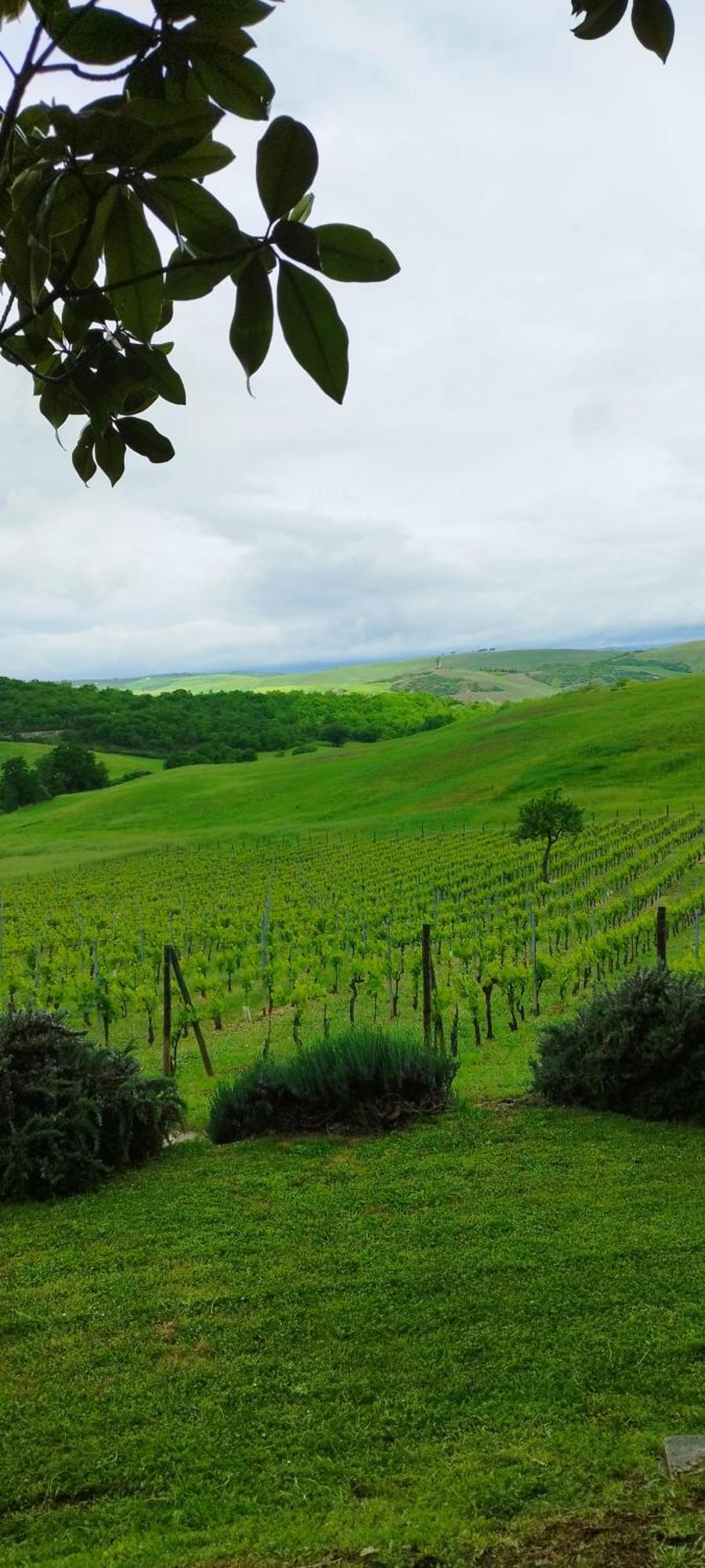 San Quirico dʼOrcia Agriturismo Bagnaia מראה חיצוני תמונה