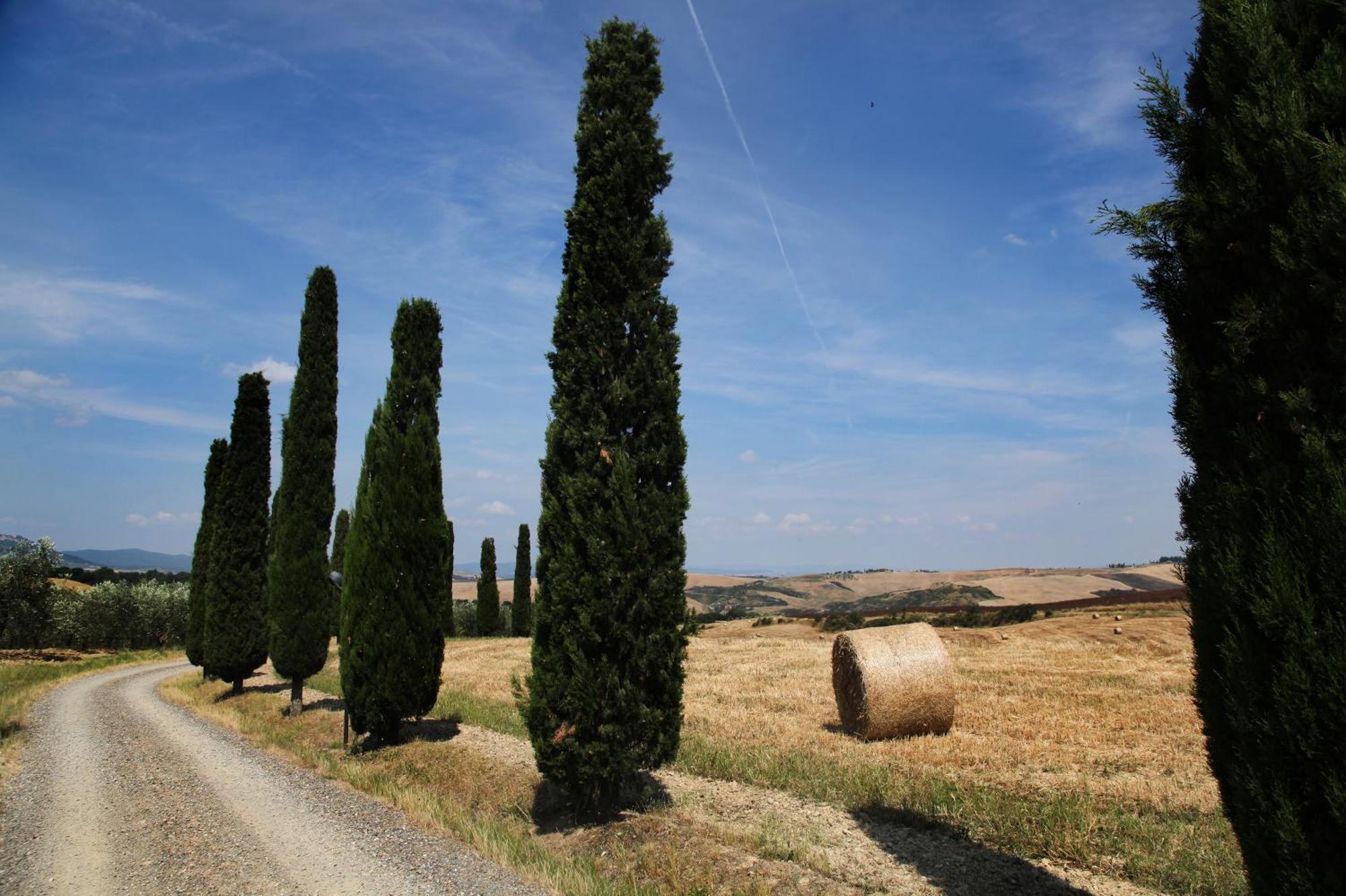San Quirico dʼOrcia Agriturismo Bagnaia מראה חיצוני תמונה