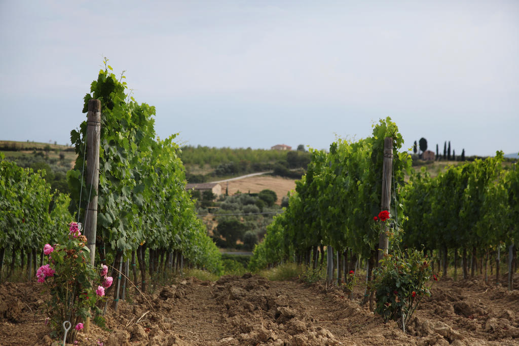 San Quirico dʼOrcia Agriturismo Bagnaia מראה חיצוני תמונה