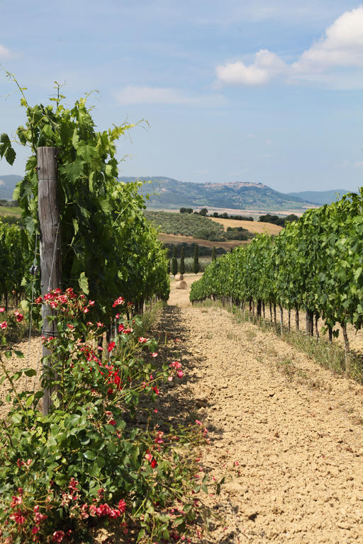 San Quirico dʼOrcia Agriturismo Bagnaia מראה חיצוני תמונה