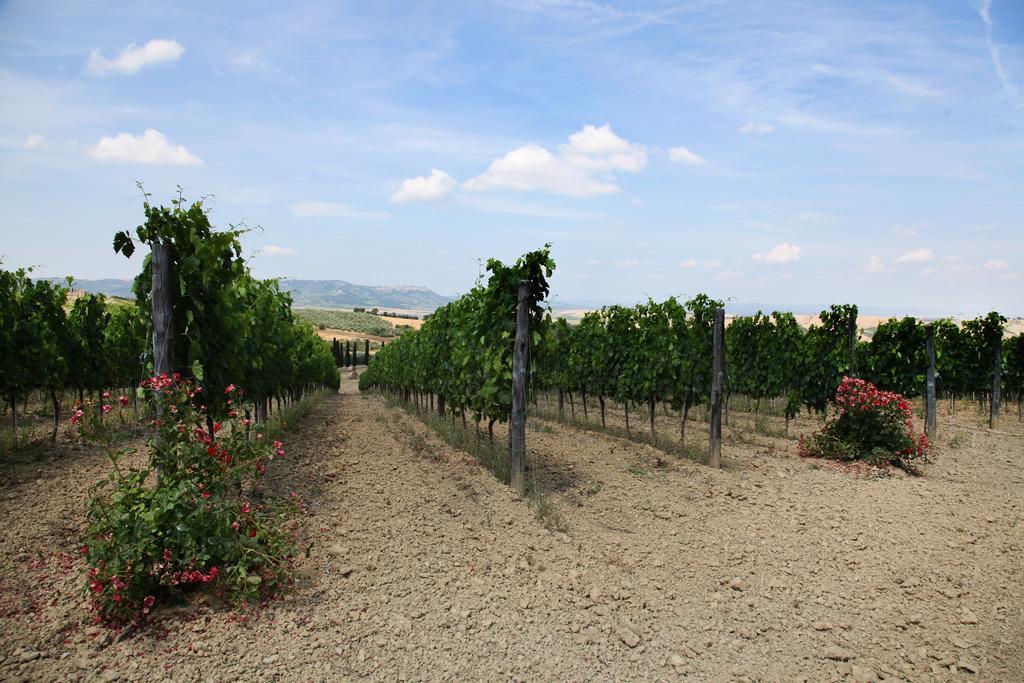 San Quirico dʼOrcia Agriturismo Bagnaia מראה חיצוני תמונה