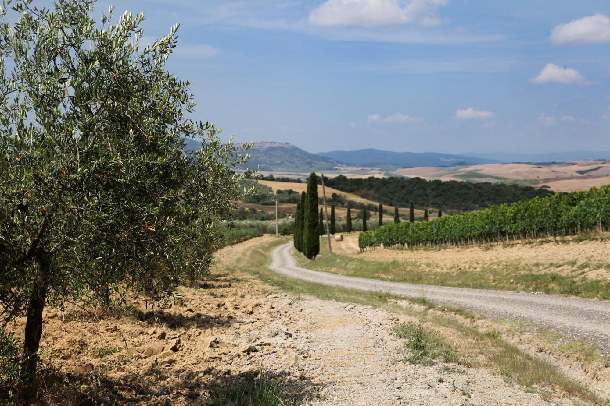 San Quirico dʼOrcia Agriturismo Bagnaia מראה חיצוני תמונה