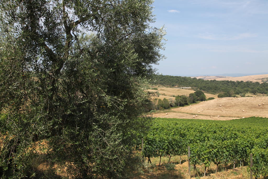 San Quirico dʼOrcia Agriturismo Bagnaia מראה חיצוני תמונה