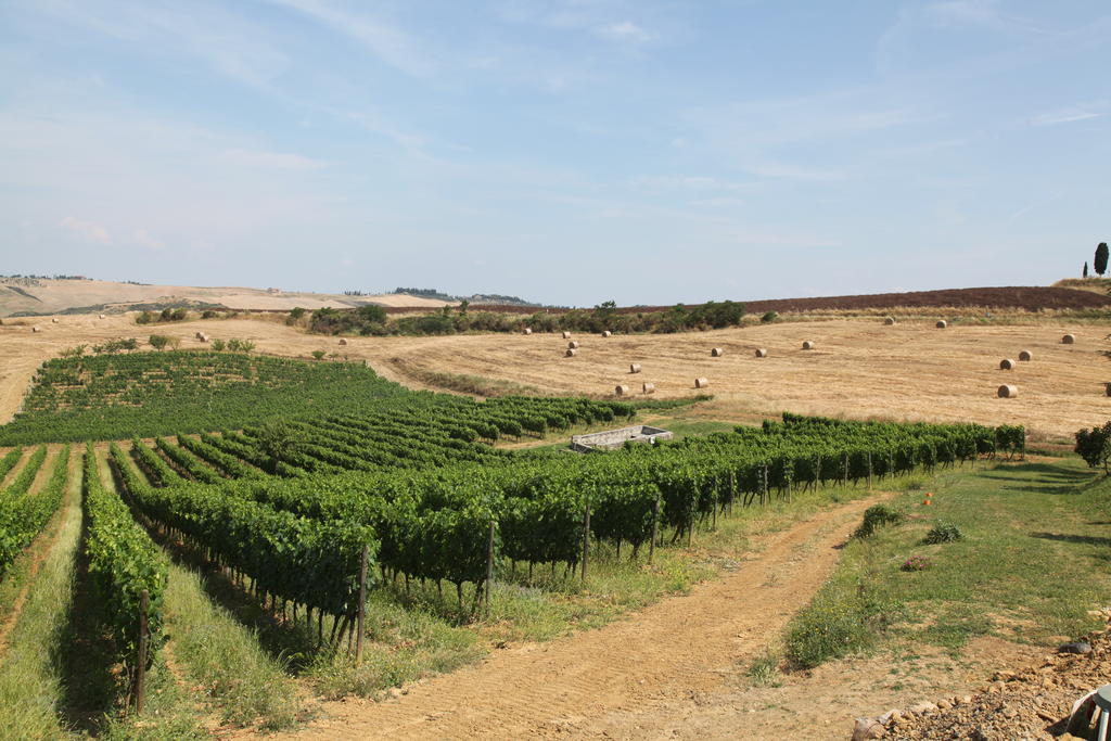 San Quirico dʼOrcia Agriturismo Bagnaia מראה חיצוני תמונה