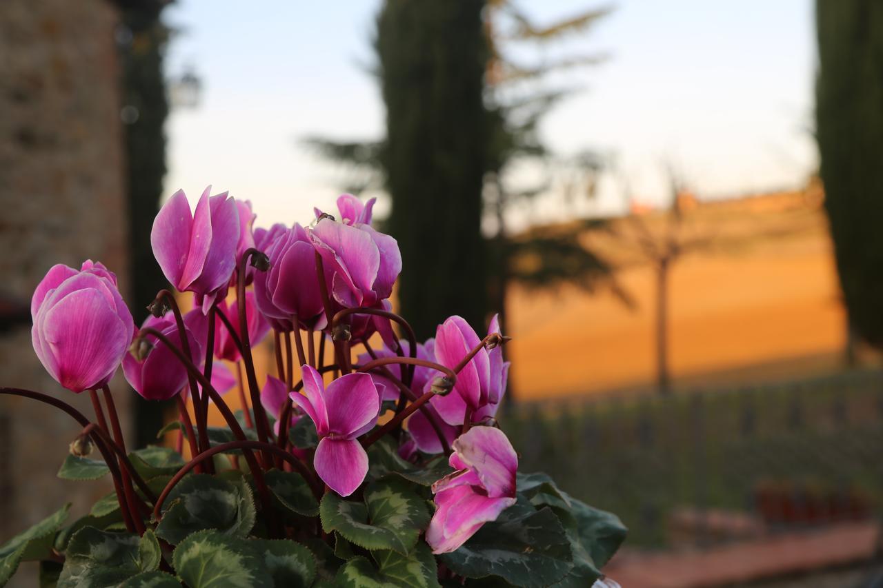 San Quirico dʼOrcia Agriturismo Bagnaia מראה חיצוני תמונה