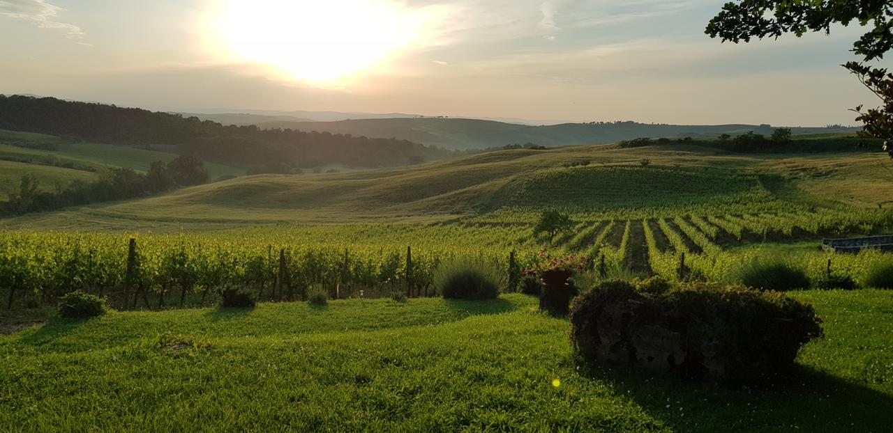 San Quirico dʼOrcia Agriturismo Bagnaia מראה חיצוני תמונה